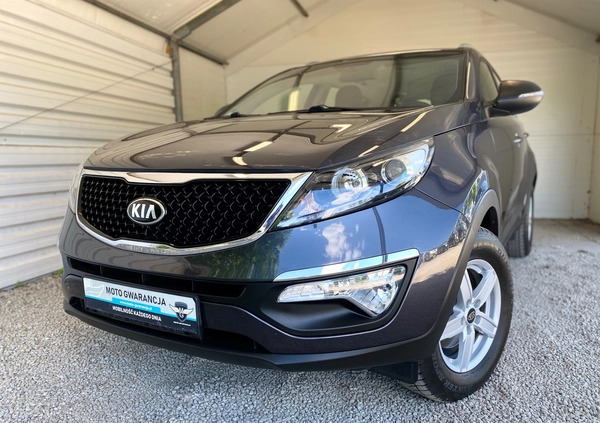 Kia Sportage cena 54900 przebieg: 92000, rok produkcji 2015 z Żagań małe 529